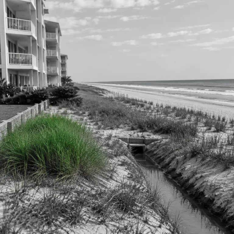 How external market signals in Panama City Beach shape sustainable and compliant hotel strategies