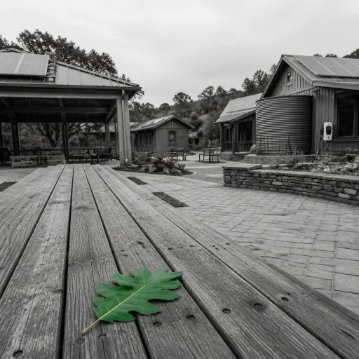 Sustainable resorts in California that welcome large family reunions with ESG integrity
